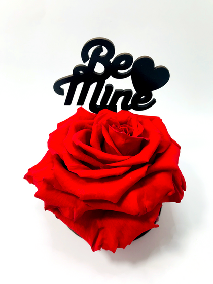 VALENTINES DAY COLLECTION