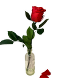 Long Stemmed SINGLE FOREVER ROSE