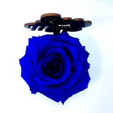 BE MINE stand with BLUE FOREVER ROSE