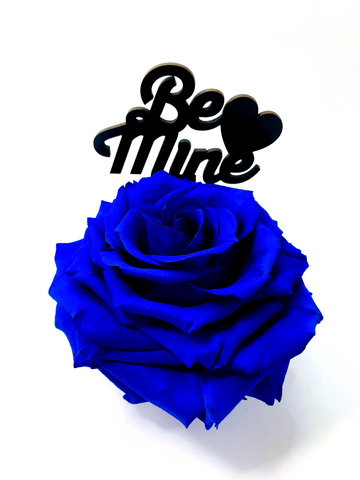 BE MINE stand with BLUE FOREVER ROSE