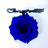 CONGRATULATIONS stand with BLUE FOREVER ROSE