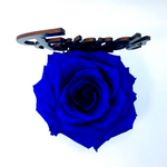 FRIENDS FOREVER stand with BLUE FOREVER ROSE
