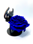 FRIENDS FOREVER stand with BLUE FOREVER ROSE