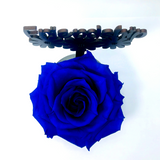 FRIENDSHIP stand with BLUE FOREVER ROSE