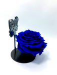 FRIENDSHIP stand with BLUE FOREVER ROSE