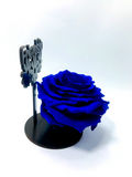 FRIENDSHIP stand with BLUE FOREVER ROSE