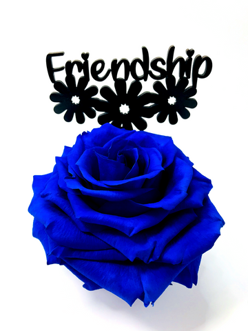FRIENDSHIP stand with BLUE FOREVER ROSE