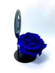 MARY stand with BLUE FOREVER ROSE