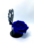 MY LOVE stand with BLUE FOREVER ROSE