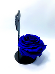 STANDING ANGEL stand with BLUE FOREVER ROSE