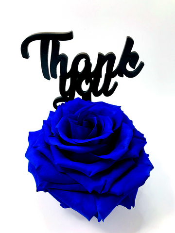 THANK YOU stand with BLUE FOREVER ROSE