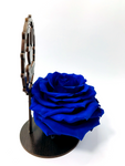 I LOVE U MUM stand with BLUE FOREVER ROSE