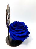 I LOVE U MUM stand with BLUE FOREVER ROSE