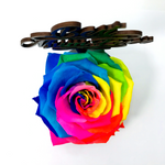 BEST MUM EVER stand with MULTICOLOUR FOREVER ROSE