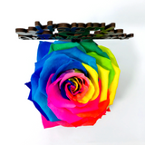 HAPPY ANNIVERSARY stand with MULTICOLOUR FOREVER ROSE