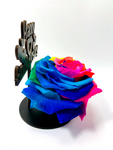 HAPPY ANNIVERSARY stand with MULTICOLOUR FOREVER ROSE