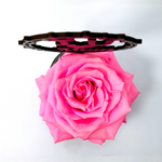 I LOVE U MUM stand with PINK FOREVER ROSE