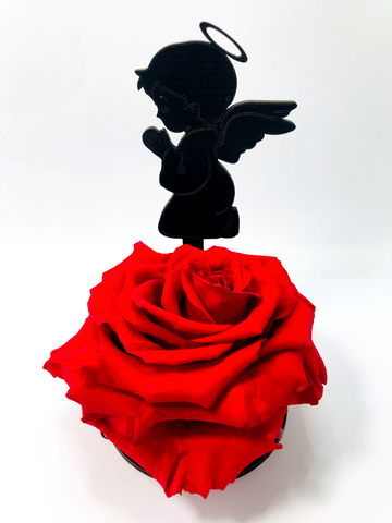BABY ANGEL stand with RED FOREVER ROSE