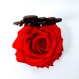 BE MINE stand with RED FOREVER ROSE