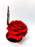 BEST MUM EVER stand with RED FOREVER ROSE