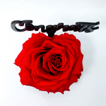 CONGRATULATIONS stand with RED FOREVER ROSE