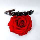 FRIENDS FOREVER stand with RED FOREVER ROSE