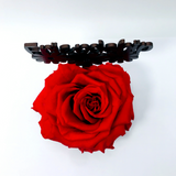 FRIENDSHIP stand with RED FOREVER ROSE