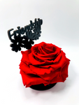 FRIENDSHIP stand with RED FOREVER ROSE