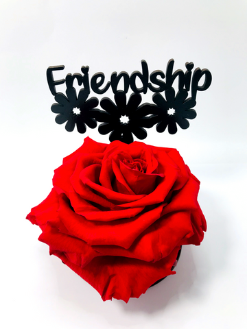 FRIENDSHIP stand with RED FOREVER ROSE