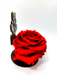 HAPPY ANNIVERSARY stand with RED FOREVER ROSE