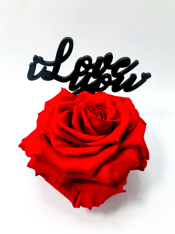 I LOVE YOU stand with RED FOREVER ROSE