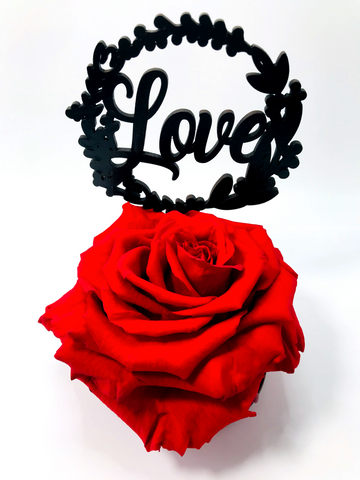 LOVE stand with RED FOREVER ROSE