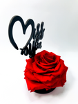 MISS YOU stand with RED FOREVER ROSE