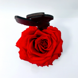 STANDING ANGEL stand with RED FOREVER ROSE