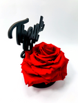 THANK YOU stand with RED FOREVER ROSE