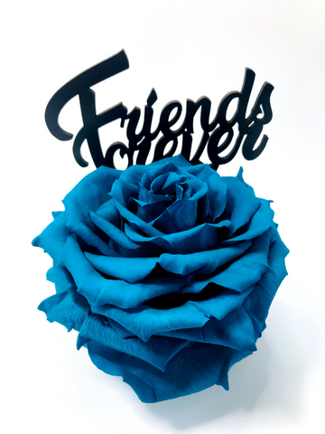 FRIENDS FOREVER stand with TURQUOISE FOREVER ROSE