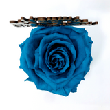 HAPPY ANNIVERSARY stand with TURQUOISE FOREVER ROSE