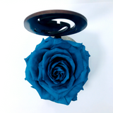 MARY stand with TURQUOISE FOREVER ROSE