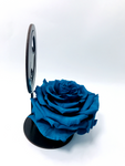 MARY stand with TURQUOISE FOREVER ROSE