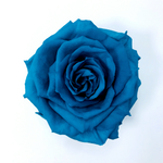 TURQUOISE - Jumbo Sized Forever Rose
