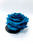 TURQUOISE - Jumbo Sized Forever Rose