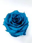TURQUOISE - Jumbo Sized Forever Rose