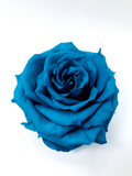 TURQUOISE - Jumbo Sized Forever Rose