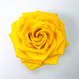 YELLOW - Jumbo Sized Forever Rose