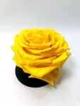 YELLOW - Jumbo Sized Forever Rose