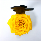 BABY ANGEL stand with YELLOW FOREVER ROSE