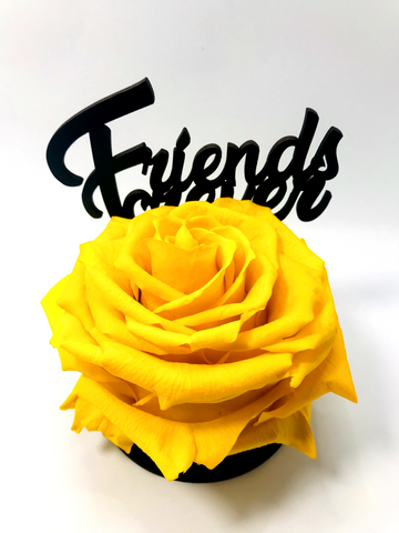 FRIENDS FOREVER stand with YELLOW FOREVER ROSE