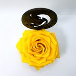 MARY stand with YELLOW FOREVER ROSE