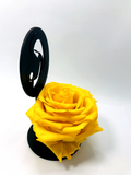 MARY stand with YELLOW FOREVER ROSE