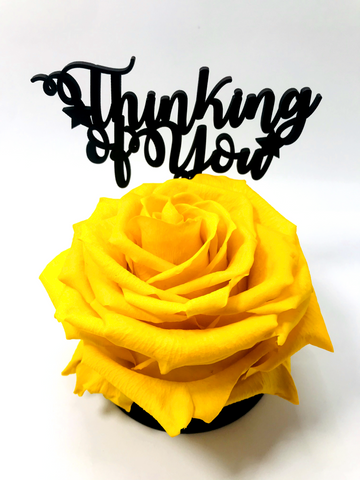 THINKING OF YOU stand with YELLOW FOREVER ROSE